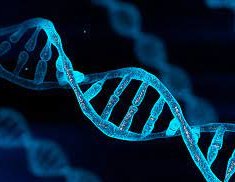 DNA double helix
